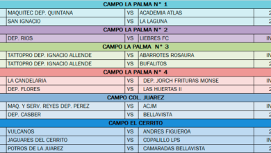 Rol de Juegos LIFA