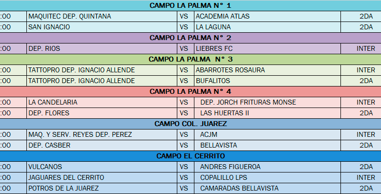 Rol de Juegos LIFA